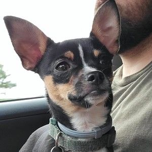 Meet your Posher, Clint